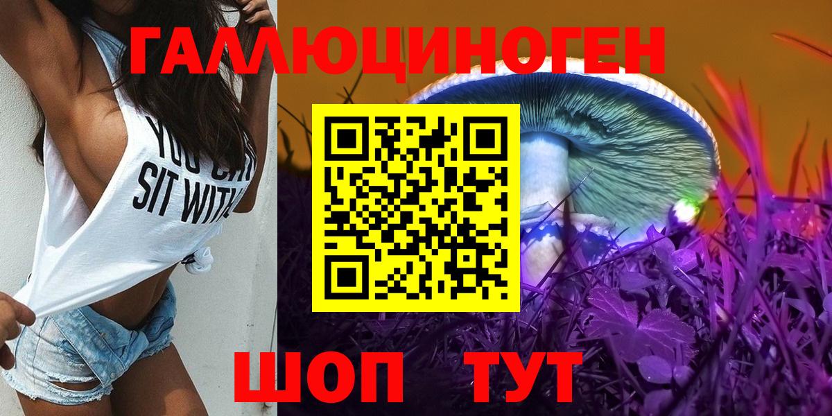 Светлоград  Псилоцибиновые грибы прущие грибы  Вход с VPN 