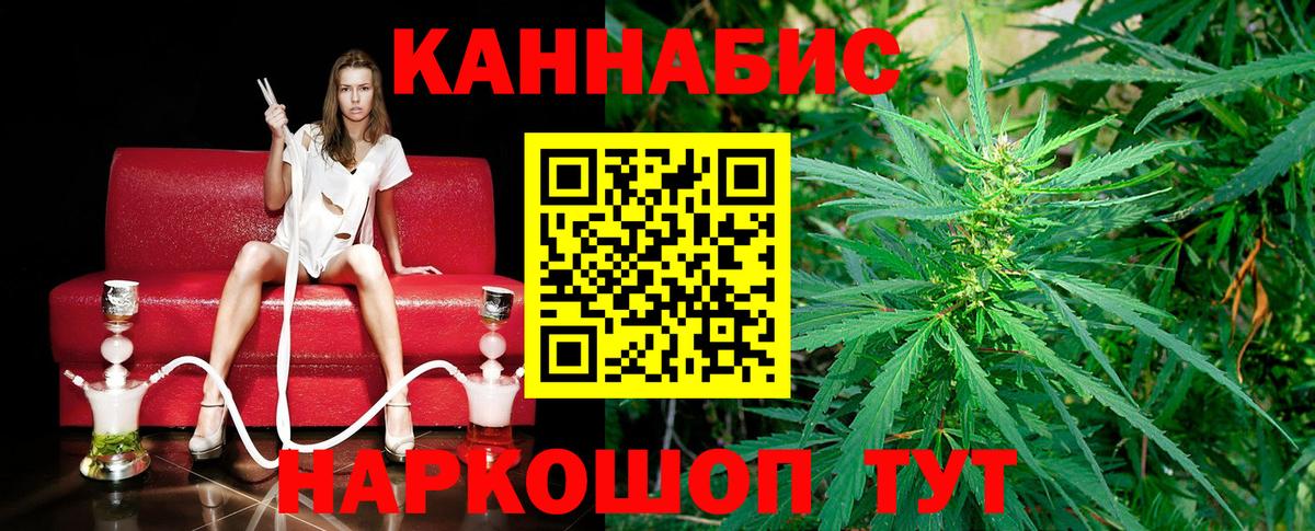 Каннабис план Светлоград